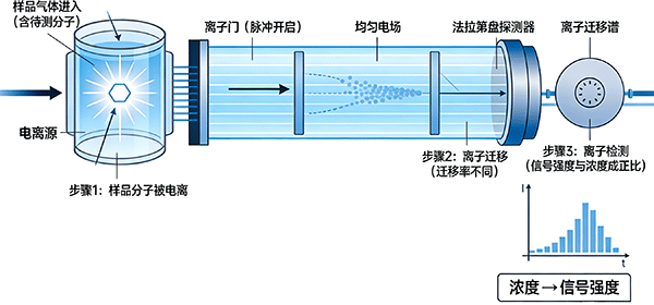 5.gif